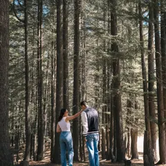 A beautiful wide shot of the couple standing among towering pine trees, emphasizing the grandeur of nature and the intimacy of their connection within it.