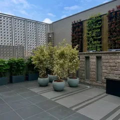 This Punjabi Bagh terrace features a stunning vertical garden with panels of different colored foliage, creating a tapestry of green and red. It serves as a beautiful backdrop for the entire space.