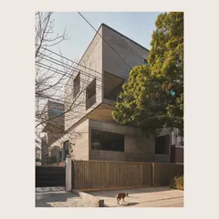 A daytime view of the Jenga House, showing how the raw concrete facade interacts with the natural light and surrounding foliage. The composition balances heavy mass with carefully placed openings.
