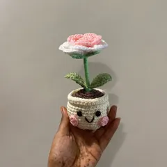 This two-toned pink and white rose in a smiley pot is my personal favourite. The colours are so soft and pretty, and the happy face just completes the look.
