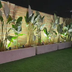 Creating a private paradise. Our versatile rectangular concrete planter boxes are used here to form a lush, green boundary, offering privacy and a tropical feel to this stunning poolside suite.