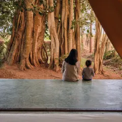 For the Fireflies Resort in Kabini, we designed luxury tents that offer an immersive nature experience. This view from inside a tent frames an ancient banyan tree, embodying our philosophy of slow living and creating spaces that foster a connection with the environment.