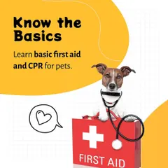 A visual reminder of the importance of first aid knowledge. This is a fundamental part of the trusted, safe care we provide at Pethowz.