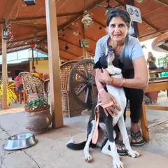 A guest shares a loving moment with her black and white Indie dog, Moju, in our cafe. We ensure a safe environment by requiring all dogs to be on a leash in the main dining areas.