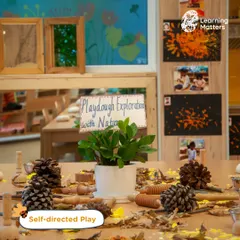 An invitation for self-directed play using natural materials. Pinecones, wood slices, and autumn leaves are arranged on a table, waiting for children to transform them into a forest, a creature, or a story.