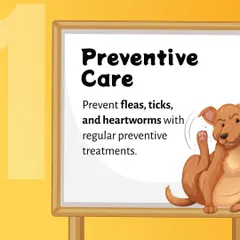 Protecting your pet from parasites is a year-round responsibility. This guide highlights the necessity of consistent preventive treatments for fleas, ticks, and heartworms to ensure your pet stays healthy.
