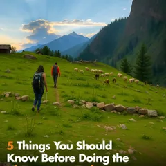 This is what the Kheerganga trek is all about. Green meadows, grazing sheep, and a trail that takes you deep into the Parvati Valley.