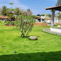 This shot highlights the different elements of our landscape design, including a central plumeria tree, raised garden beds, and a spacious lawn area. We create diverse and interesting gardens that invite you to explore.