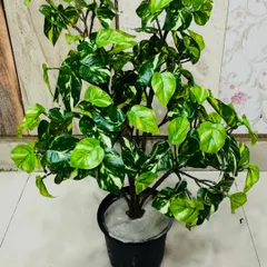 A lush and realistic artificial money plant (pothos) in a simple black pot. The variegated leaves are carefully detailed to look just like the real thing.