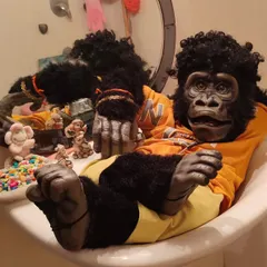 Nikki enjoying a "bath" in the sink. He loves being pampered and is always ready for a photoshoot, even in the most unusual locations.
