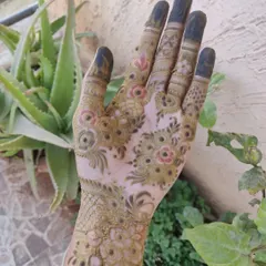 This is the henna paste freshly applied. The design is a mix of floral and geometric patterns, and at this stage, the paste is a dark greenish-brown.