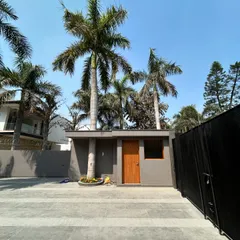 At the entrance of Gulmohar Farmhouse, another existing palm tree stands in a planter bed integrated into the paved driveway. Instead of removing it, we made it a central feature of the arrival experience.
