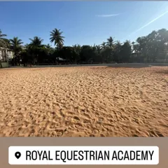 This is our main showjumping and dressage arena. I ensure the sand footing is meticulously maintained to provide the perfect balance of grip and cushion, which is essential for high-performance training and reducing the risk of strain on your horse.
