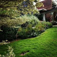 A look at a mature residential garden I designed, filled with layers of greenery. The mix of shrubs, flowering plants, and a healthy lawn creates a private, peaceful retreat for the homeowners.