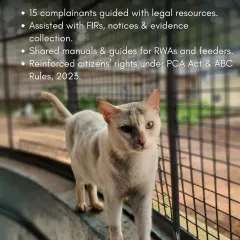 My legal interventions include guiding complainants, assisting with FIRs and legal notices, and sharing resources to empower citizens under the PCA Act and ABC Rules.