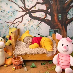 A sleepy newborn dreaming in the Hundred Acre Wood. This Winnie the Pooh themed session is a classic for a reason. I use soft, comfortable props and outfits to bring these gentle storybook scenes to life for your baby's first portraits.