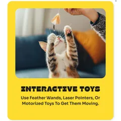 Keep your cat engaged with interactive toys. Feather wands, laser pointers, and motorized toys are great for getting them moving and stimulating their hunting instincts.