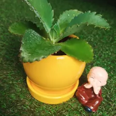 A thoughtful gift for a loved one. This Kalanchoe plant, known for its long-lasting blooms, is paired with a peaceful monk figurine, making it a perfect gift of tranquility.