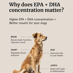 This graphic explains why a high concentration of EPA and DHA is so important. These essential fatty acids boost brain function, regulate blood pressure, improve skin and coat, and ease joint pain.