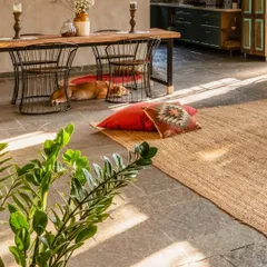 The dining area features a large wooden table and cool Kota stone flooring, which is perfect for keeping furry friends comfortable. The space is designed for relaxed, communal living.