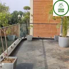 A modern terrace design using tall palms and topiary trees in sleek, minimalist planters to complement the architecture.