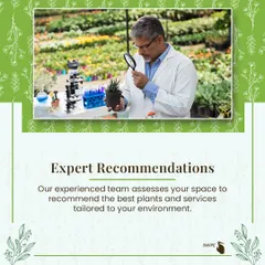 Our experienced team assesses your space, light conditions, and needs to provide expert recommendations for the best plants and services tailored to your environment.