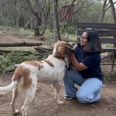 Another beautiful moment of connection in the park. Here, I'm kneeling down to the dog's level, communicating with calm energy and gentle touch. This builds the trust that makes a dog feel safe and ready to learn.