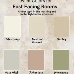 East-facing rooms get warm, amber light in the morning and cooler light in the afternoon. I use versatile neutrals like Pale-Beige, Vale Mist, or Interface Tan to balance the changing light throughout the day.