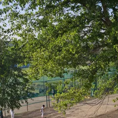 The serene environment of our academy provides a calm and focused atmosphere for training, away from the hustle of the city.