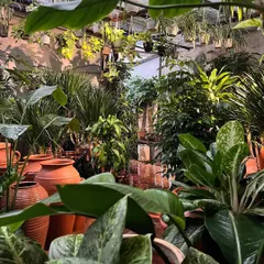 We are weekend-ready with trucks full of new plants. Our studio is overflowing with green, from large floor plants to hanging baskets and rows of terracotta pots.