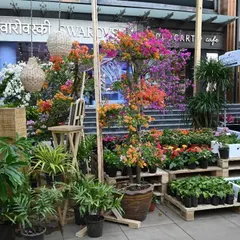 A stunning display of colorful bougainvillea and other plants, showcasing the visual splendor that awaits you at our festival. It's a perfect photo opportunity for every nature lover.