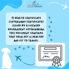 The first key document is a health certificate issued by a licensed government veterinarian. This official paper confirms that your pet is healthy and fit to travel, and is a mandatory requirement for nearly all international destinations.