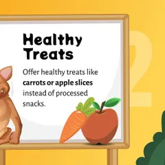 Nutrition plays a vital role in your pet's overall health. We recommend offering natural, healthy treats like carrot or apple slices instead of processed snacks to support their well-being.