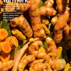 A close-up of fresh, raw turmeric root, known for its purity and natural richness. This is the source of the earthy depth and golden warmth you find in my turmeric products.