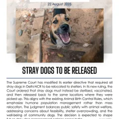 A major victory for animal welfare. The Supreme Court has ruled that stray dogs in Delhi-NCR must be sterilized, vaccinated, and returned to their communities, not relocated to shelters. I track these critical legal developments to keep you informed and ensure humane policies are upheld across India.