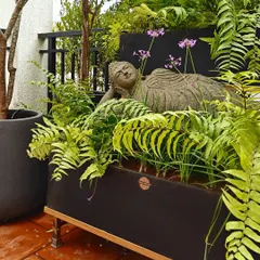 A perfect example of creating a serene balcony retreat. This client has beautifully placed our reclining Buddha statue amidst lush ferns in a modern planter, proving that tranquility can be found in any space.