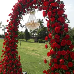A closer view of the magnificent red rose arch with a crystal chandelier. This combination of lush florals and elegant lighting is the essence of romantic wedding decor.