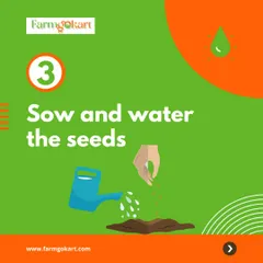 Starting your garden is as easy as one, two, three. This simple graphic reminds you of the core steps: pick your seeds, prepare the soil, and then sow and water them.
