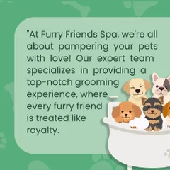 We are a team of experts who specialize in providing a top-notch grooming experience, where every furry friend is treated with love and care.
