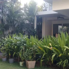 A well-maintained garden with a mix of potted plants and in-ground shrubs. My maintenance service ensures that plants are healthy and the garden looks lush and tidy.
