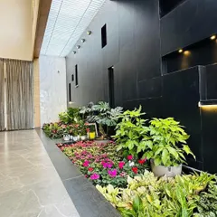 An indoor plant bed is a fantastic way to create a garden feel without soil. This installation in a modern hallway uses a mix of colorful flowering plants and textured foliage plants like Monstera against a dark feature wall.