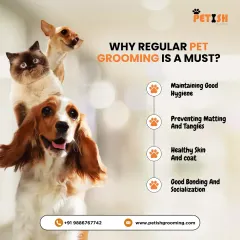 Why is regular pet grooming a must? It's crucial for maintaining good hygiene, preventing matting, ensuring healthy skin and coat, and promoting good bonding and socialization.