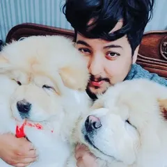 Cuddle time with Tesla and Stila, two of our fluffiest clients. These Chow Chows are irresistibly soft and huggable after their grooming session, highlighting their beautiful, well-maintained coats.