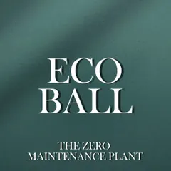 The EcoBall: The Zero Maintenance Plant. This graphic clearly communicates the core benefit of our unique and innovative product.