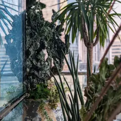 We love working with the Chanakya School of Craft. Here's a look at the balcony space we designed, filled with a variety of cacti and other exotic plants to inspire creativity.