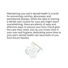 Investing time in your pet's dental health can save you both from future hassles. A simple routine can prevent serious issues like cavities, abscesses, and periodontal disease.