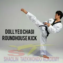 The Dollyeo Chagi, or Roundhouse Kick. This is a powerful and common kick in Olympic taekwondo sparring, and we focus on perfecting its speed and precision.