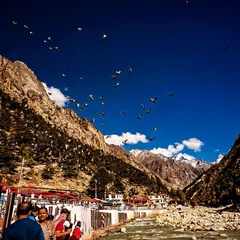This is Gangotri, where the holy Ganga flows with immense power. Eight years ago, a photo I took here deepened my connection to photography. This time, the river, mountains, and blue sky were graced by birds, a beautiful reminder of how nature is always offering us new perspectives.