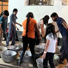 Learning about equine nutrition is a core part of our camp curriculum. Here, a group of campers gets hands on experience preparing evening meals for the horses, ensuring each one gets the right balance of nutrients.