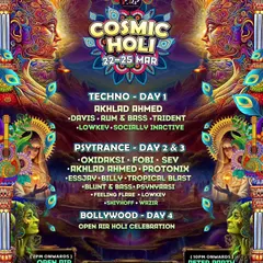 Another flyer for Cosmic Holi, detailing the different stages for techno, psytrance, and more. These multi-genre festivals create an amazing atmosphere of unity and celebration.